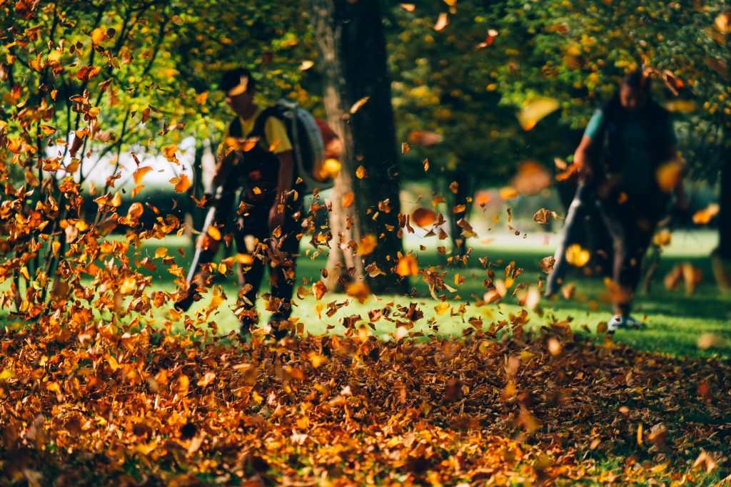 Image by teksomolika on Freepik